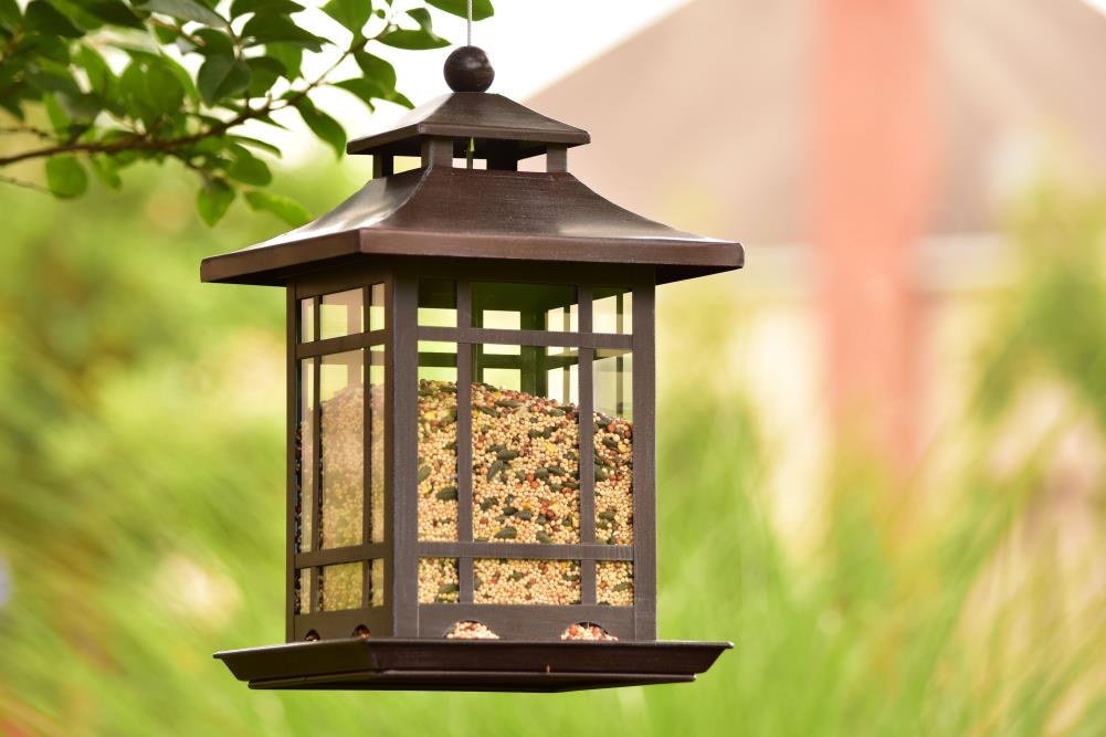 backyard-glory-antique-brown-hopper-bird-feeder-in-the-bird-feeders