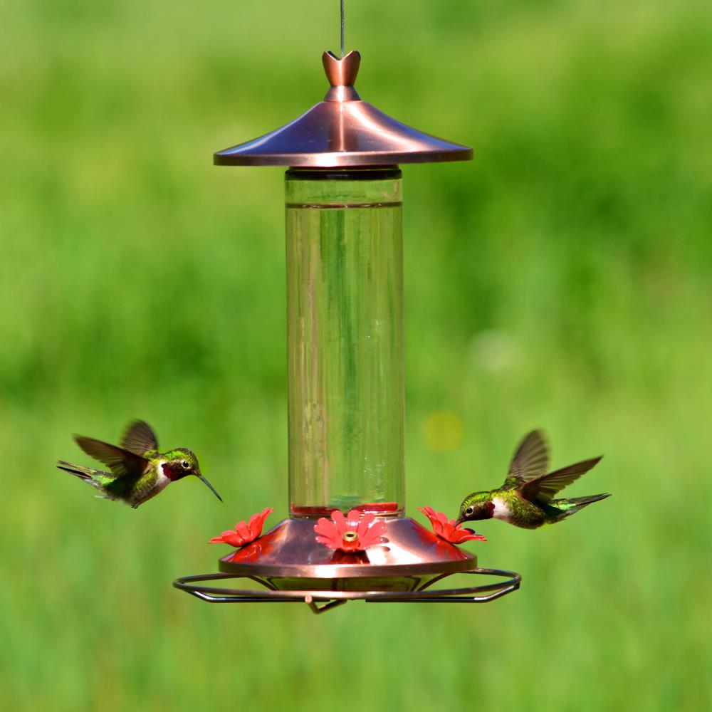18 Oz Capacity Perky-Pet® 201 Garden Song® Lantern Hummingbird Bird Feeder 