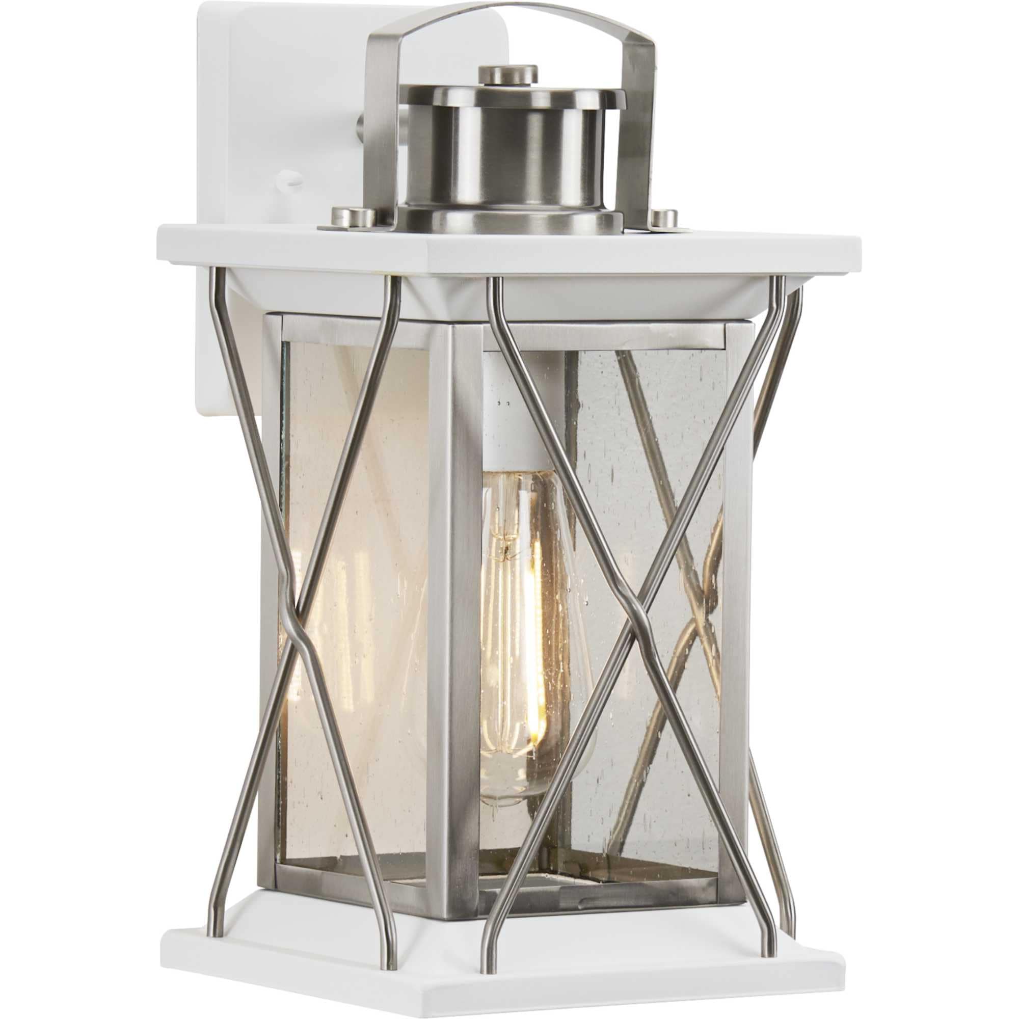 Barlowe Collection 2-Light Stainless Steel Clear Seeded Glass Farmhouse Outdoor Flush Mount Ceiling Light 