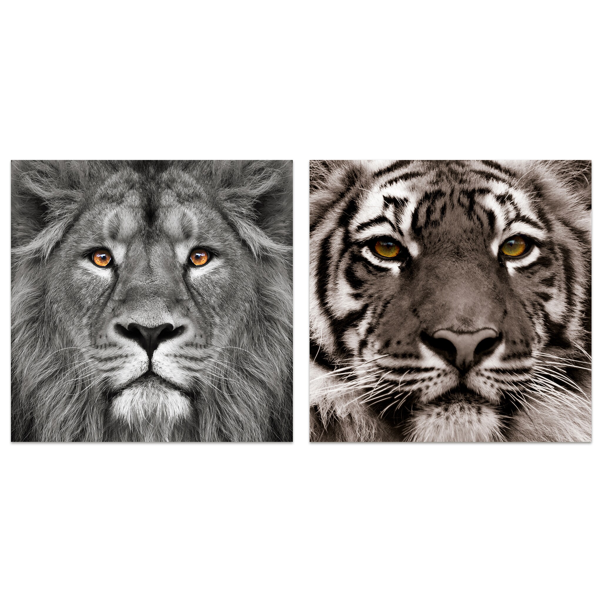 Picture Poster Animal Art King Jungle Tiger Framed Print Abstract Lion Face 