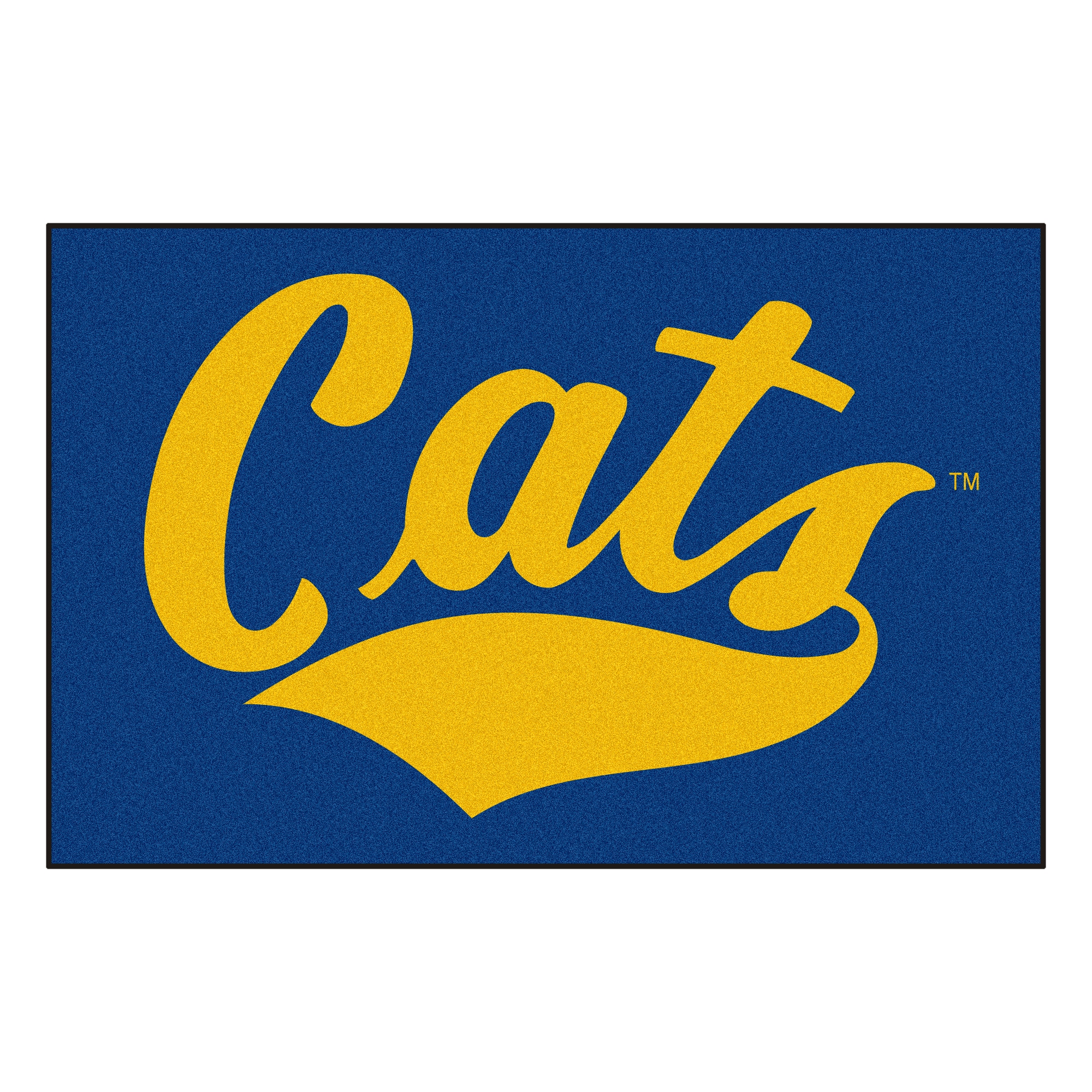 Montana State University Sports Cat