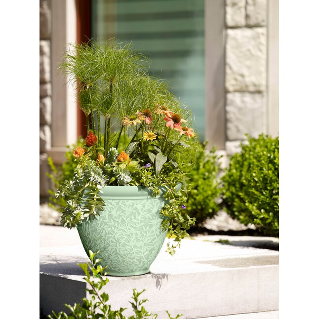 Indoor Clear Self Watering Plant Flower Pot Plastic Flower Pot Planter Garden A+ 