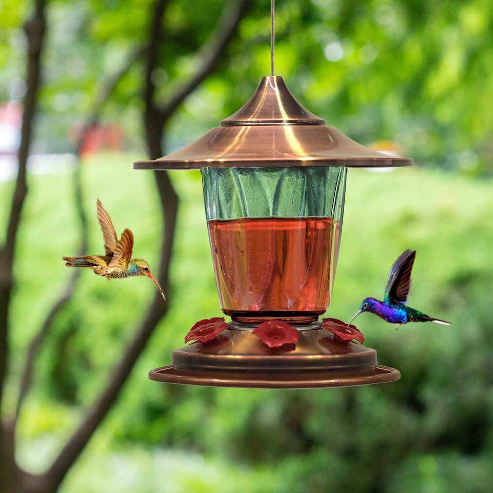 Best 1 8 oz Hummingbird Feeder Gift Set with Insect Barrier Port Brush and N... 