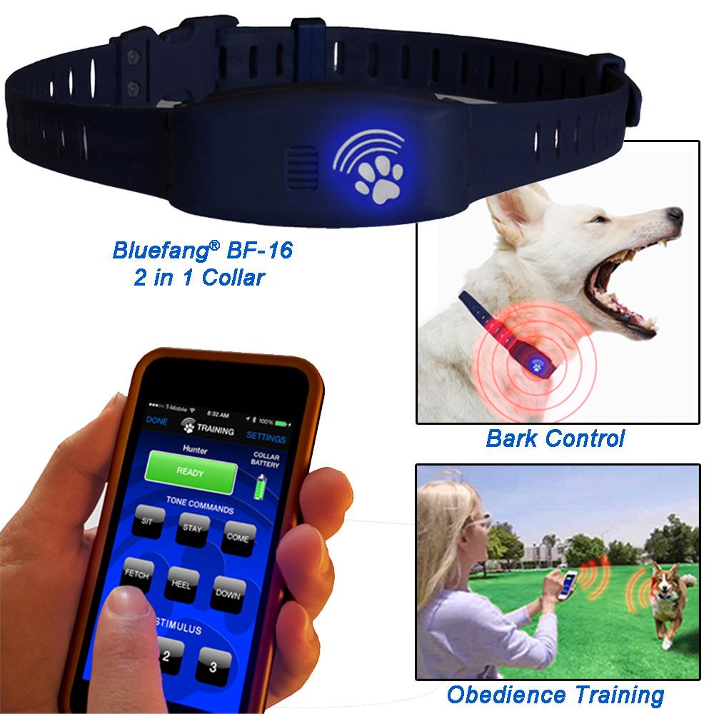 lowes dog shock collar