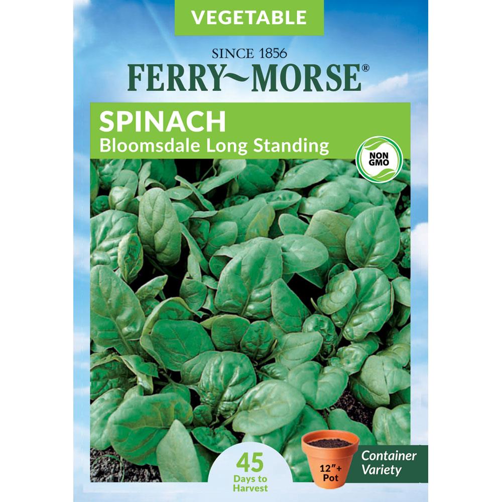 Bloomsdale Long Standing Spinach SeedsNON-GMOFresh Garden Seeds