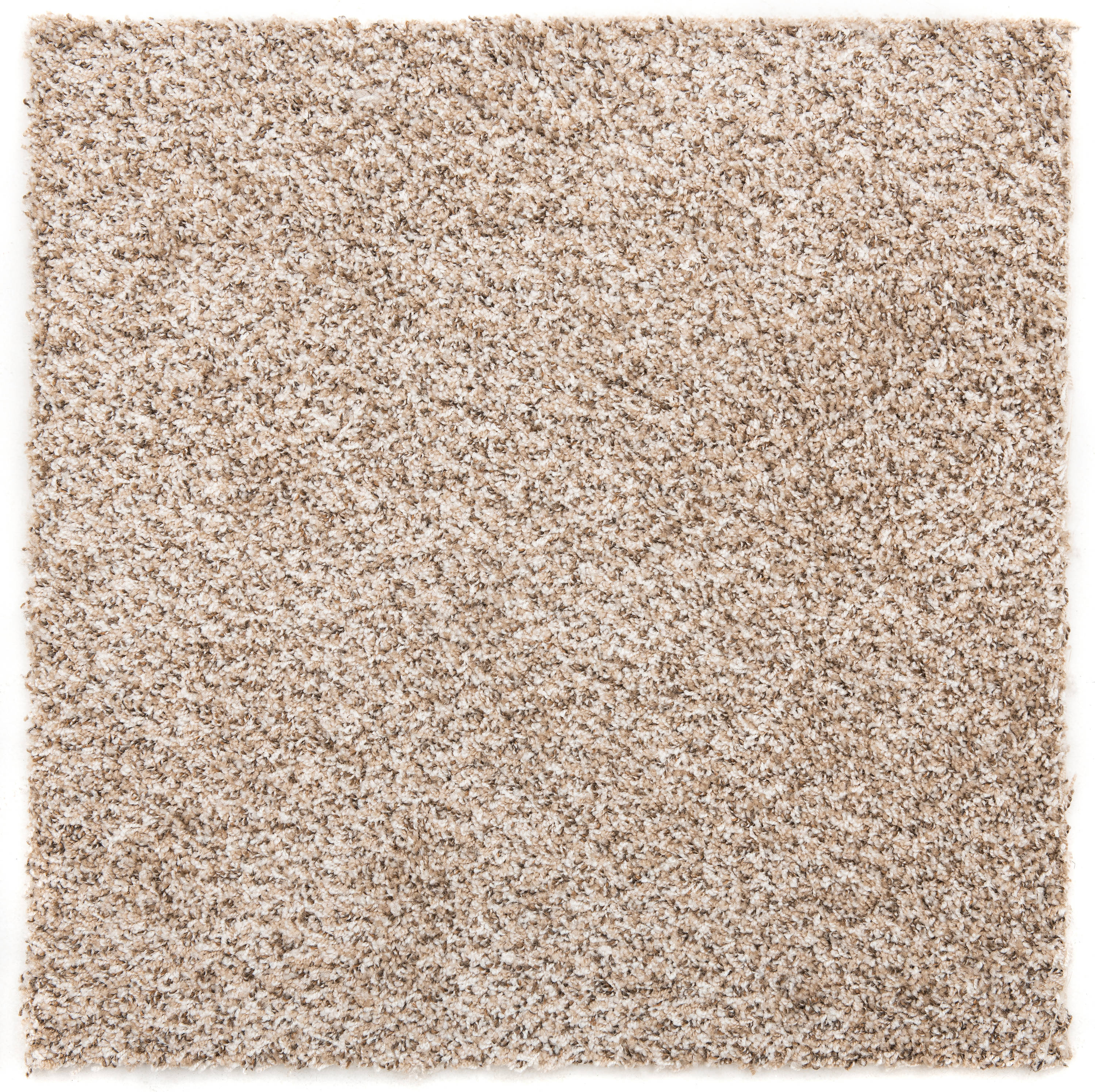 Hábil Gran cantidad Volcánico Nance 24-in x 24-in Light Shag/Frieze Adhesive-backed Carpet Tile (24-sq  ft) in the Carpet Tile department at Lowes.com
