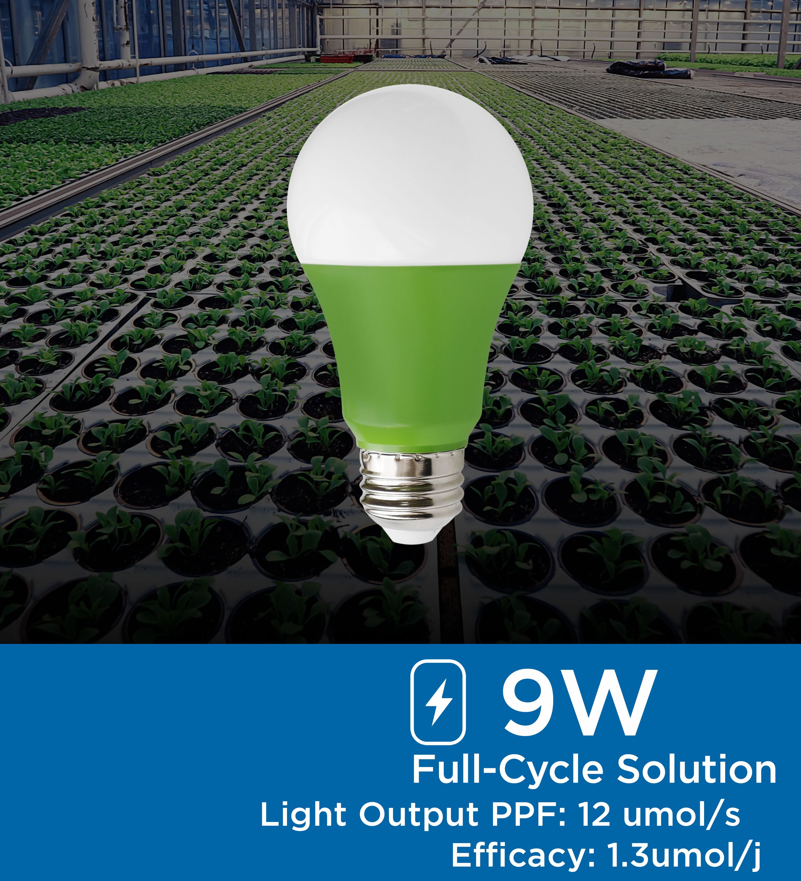 Viribright Lighting Viribright 9 Watt A19 Led Grow Light Bulb 12 Umols In The Grow Light Bulbs 