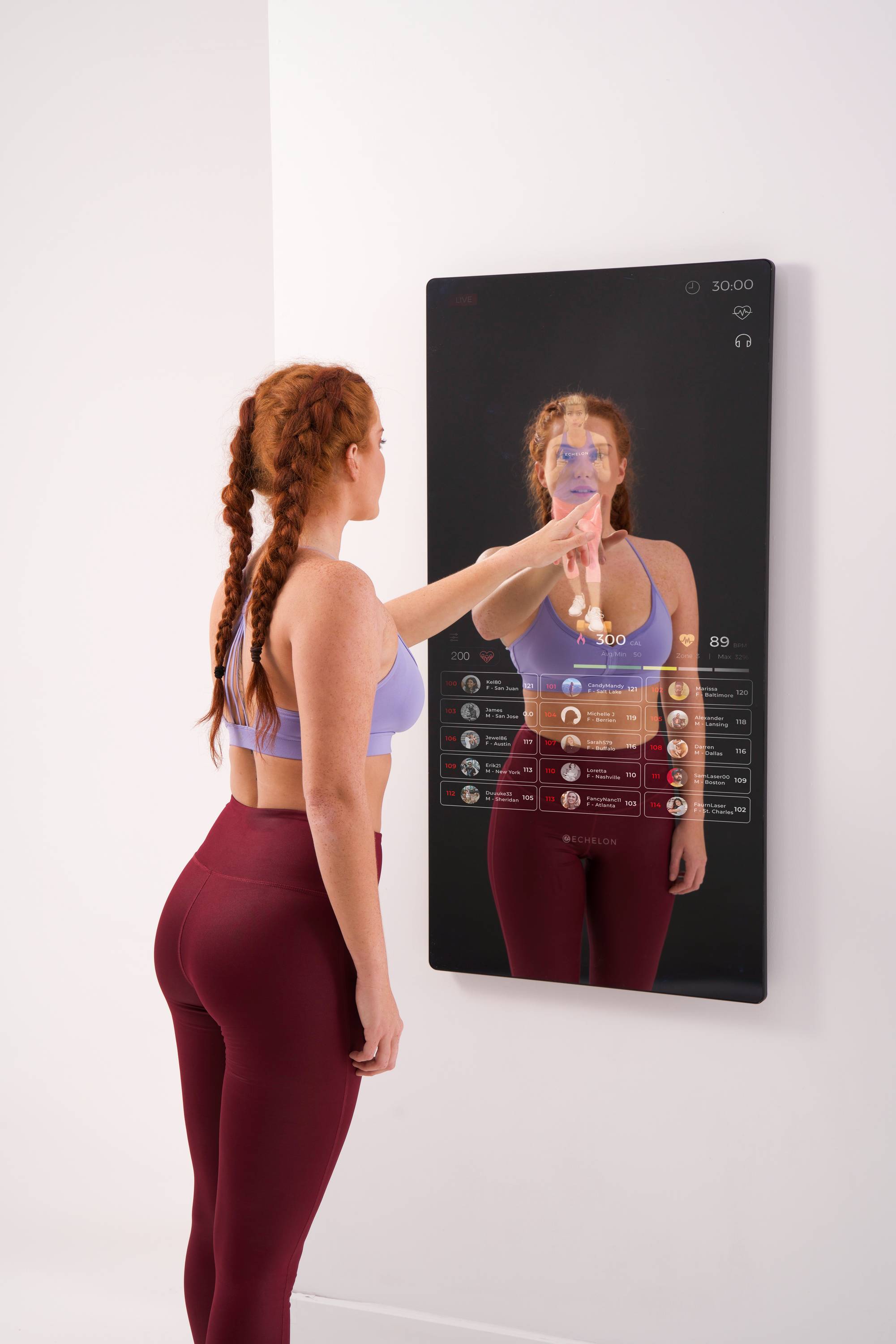 echelon mirror 50 inch