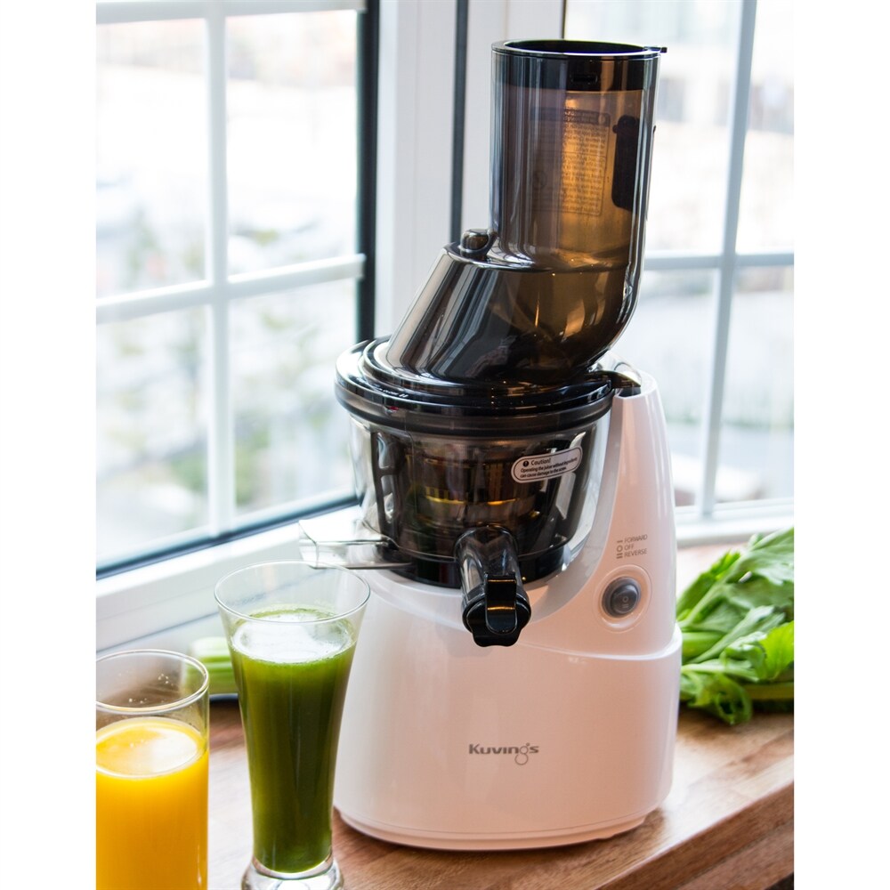 Kuvings WHOLE SLOW JUICER W/BLANK STRAINE at Lowes.com