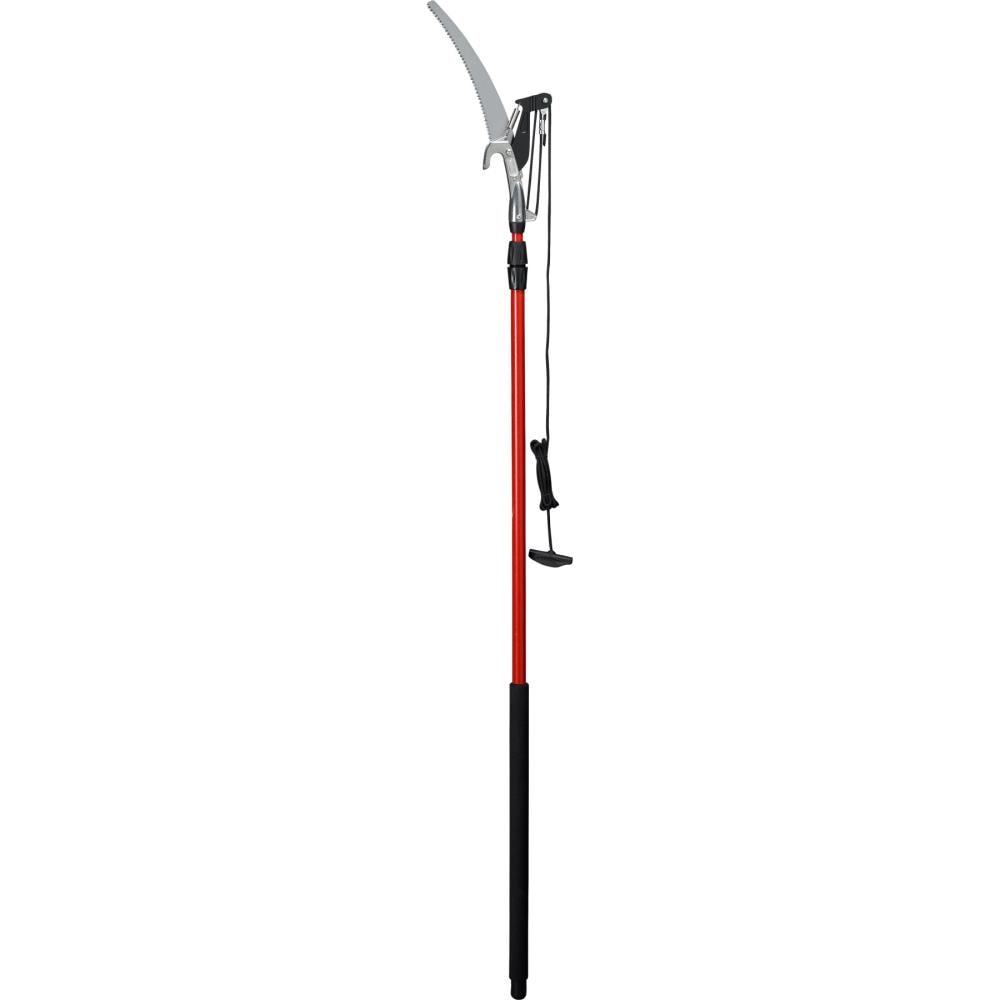 Tree Pruner FREE SHIPPING NEW Corona TP 3841 DualCOMPOUND Action 12 ft 