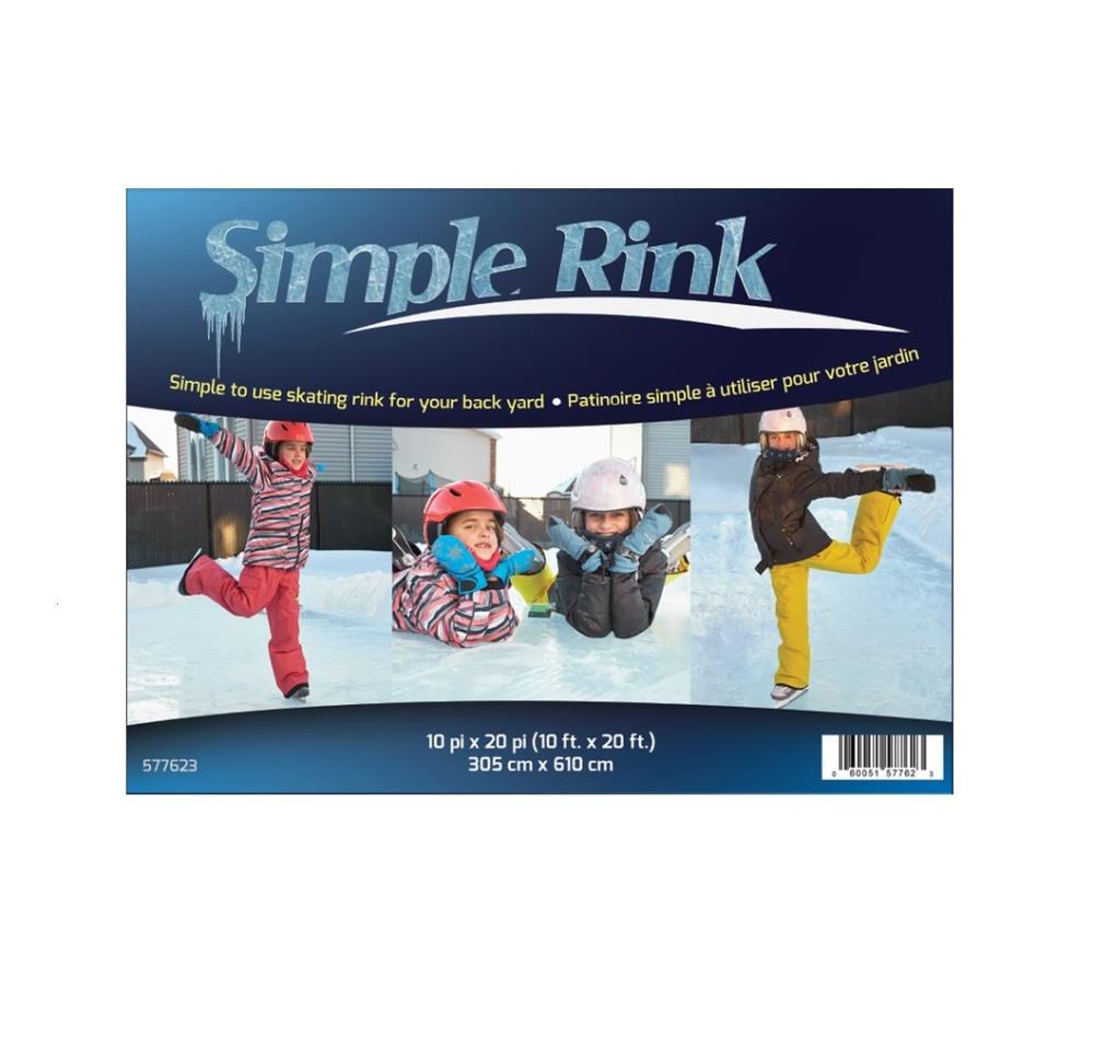 Penguin Skates Ice Rink Snow Winter Christmas New Year Toy Building Blocks 2019 