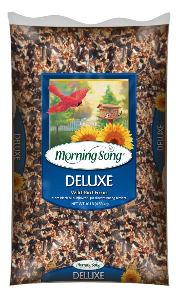 morning song bird seed