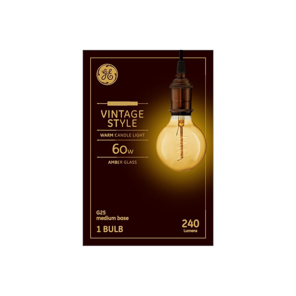 GE 60-Watt Dimmable G25 Vintage Light Fixture Incandescent Light Bulb in  the Incandescent Light Bulbs department at Lowes.com