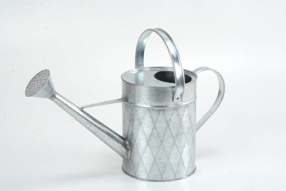 Small Watering Cans Can Indoor Outdoor Metal Silver Plants Mini Device Waterer 