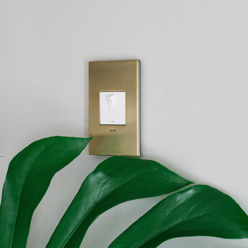 Legrand Adorne 1-Gang Brushed Brass Square Screwless Specialty Wall ...