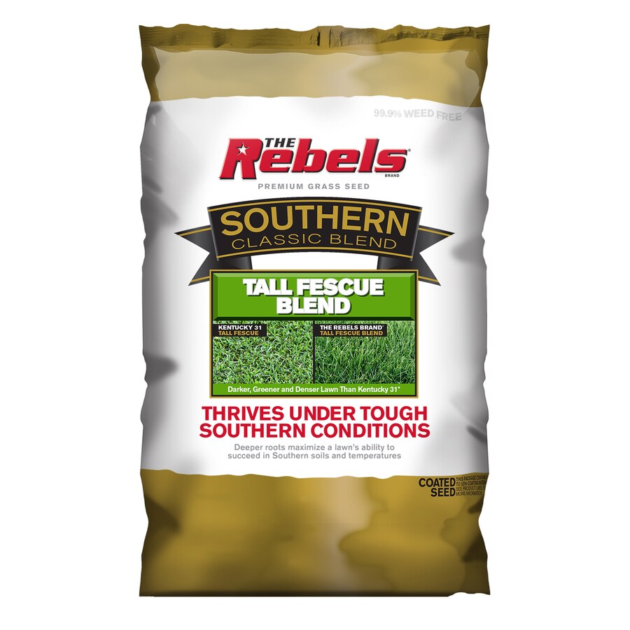 Rebel Southern Classic Tall Fescue Grass Seed At