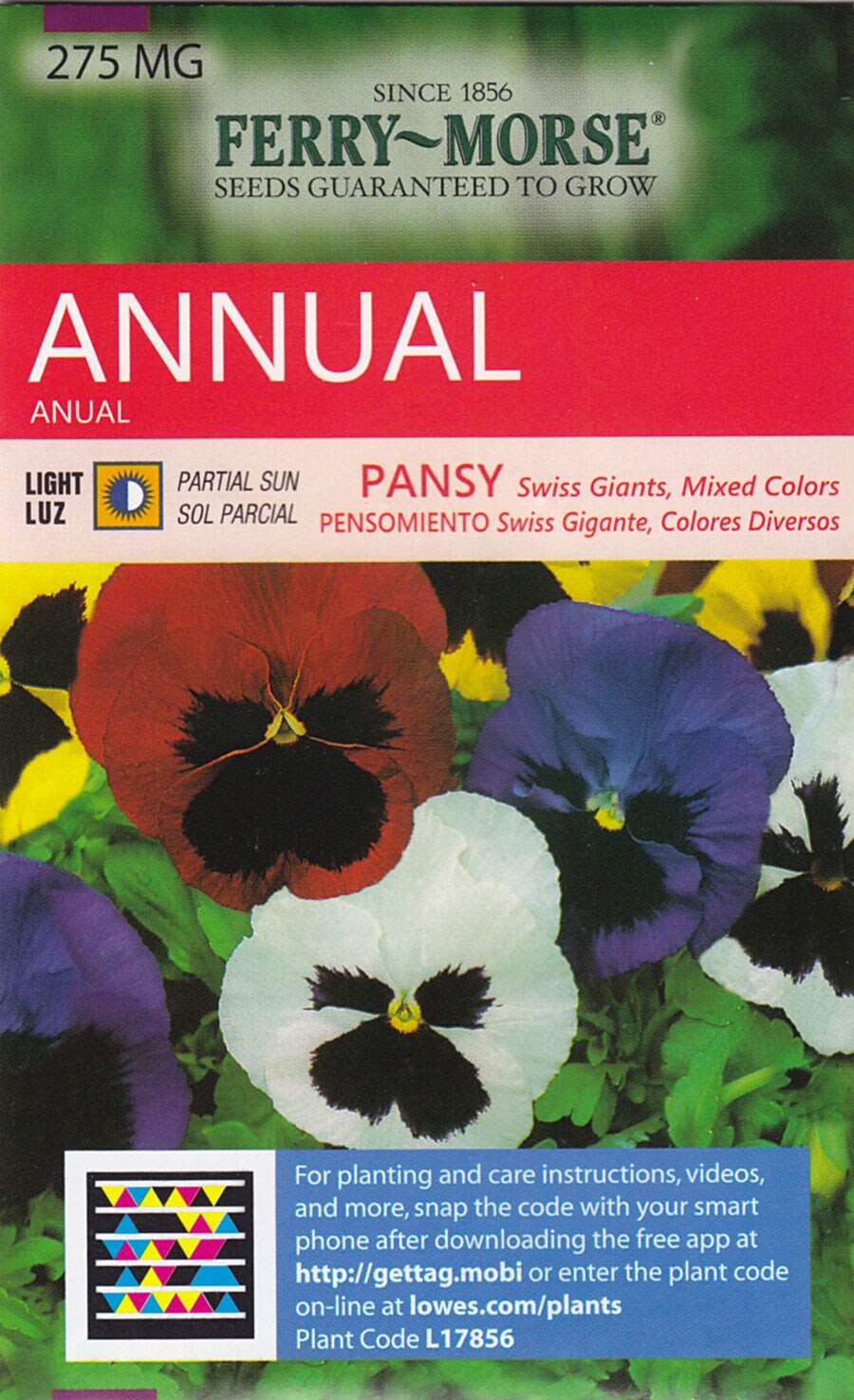 Ferry Morse Pansy Swiss Giants, Mixed Colors Flower Seed Packet in ...