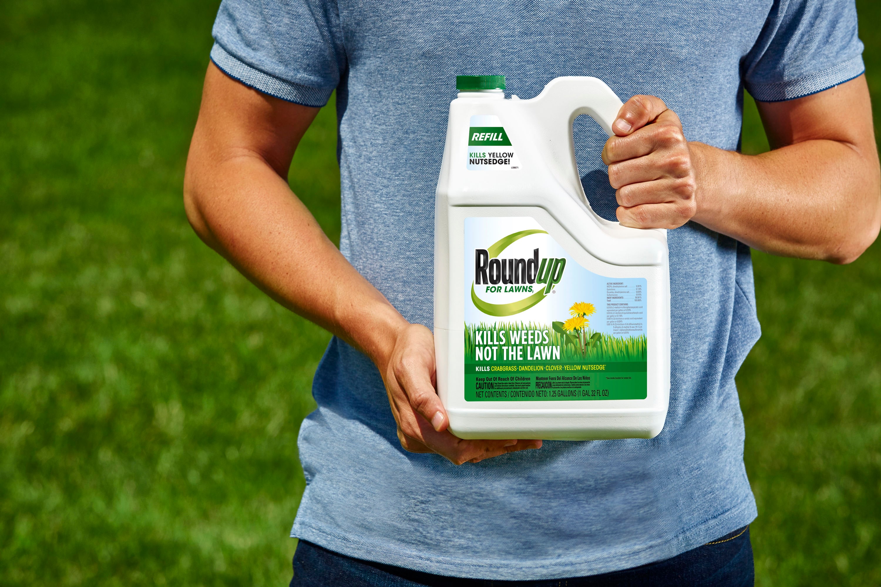 Roundup For Lawns 1.25-Gallon Refill Weed And Grass Killer In The Weed ...