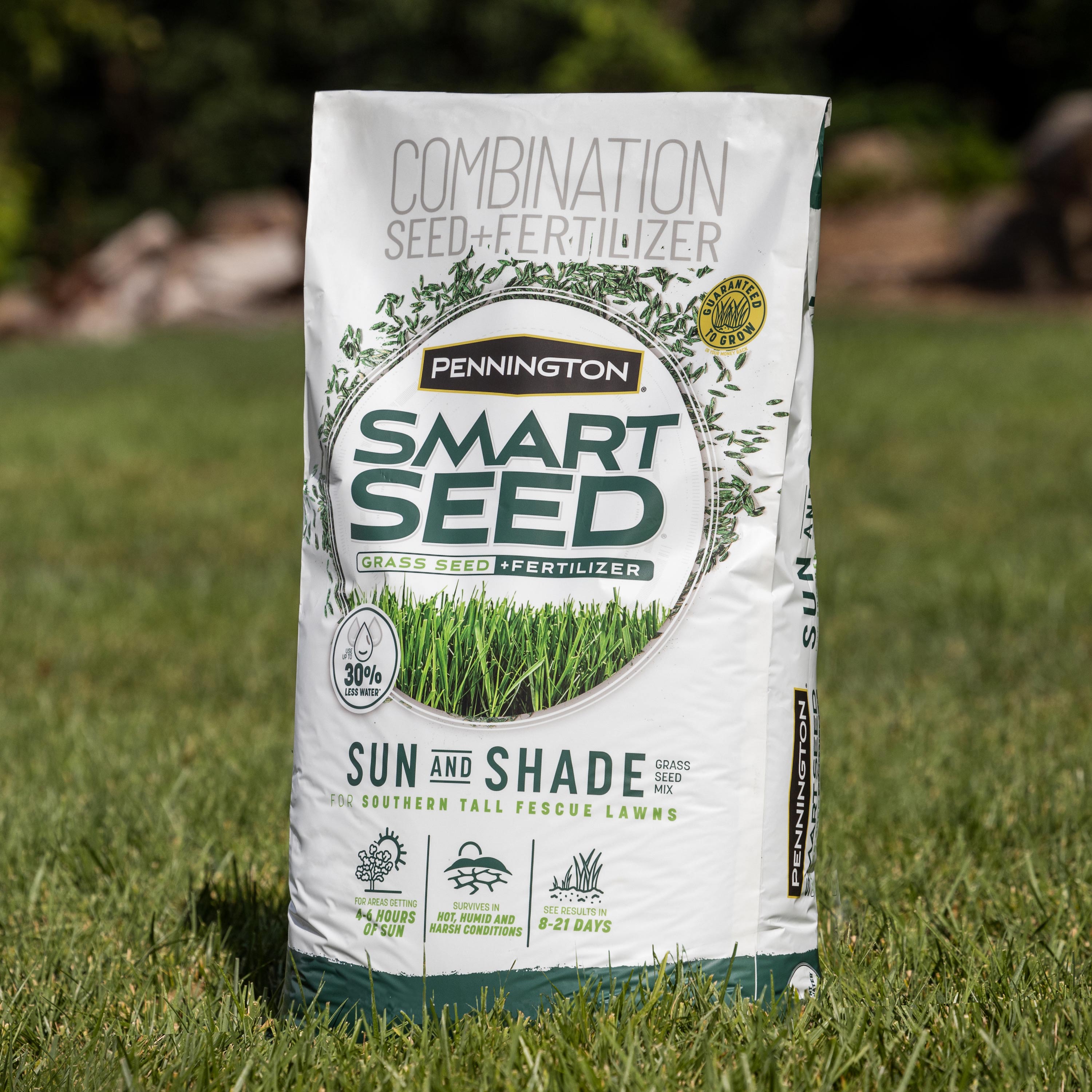 Pennington Smart Seed Sun And Shade South 20-lb Mixture/Blend Grass ...