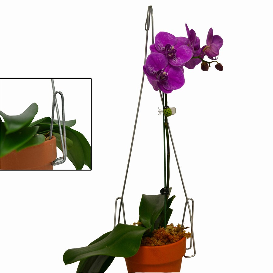 New 5 pcs 24" 4 Stand Strong Wire Steel Hook Hanger for Basket Pot Orchid 
