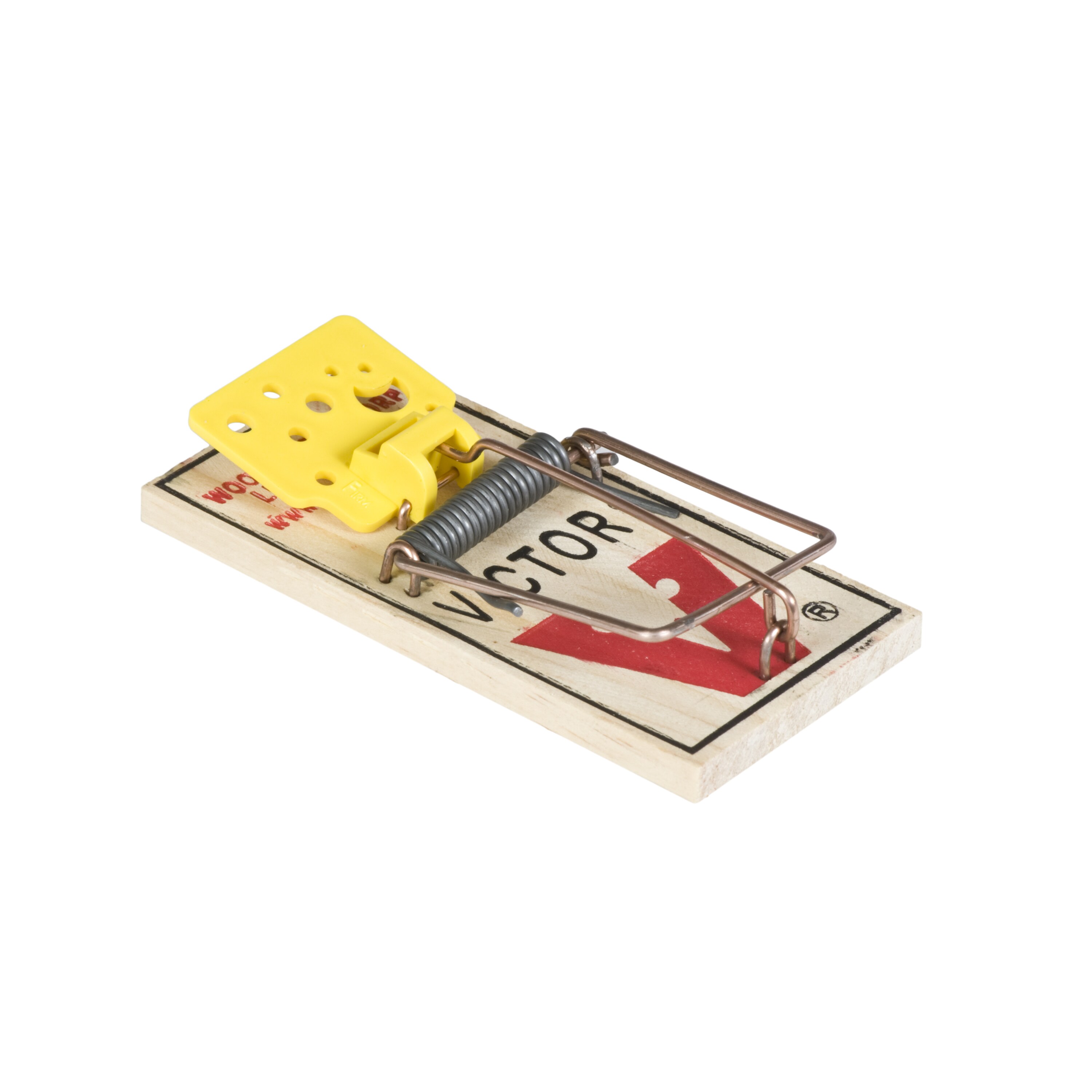 Cheese Shaped Plastic Trigger           Natural Wooden Snap Mouse Trap 24 Pack 
