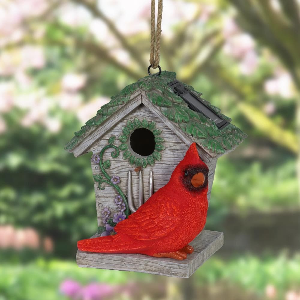 Feed Dispenser Bird houses with Stand Birdhouse Bird Feeder XXXL 
