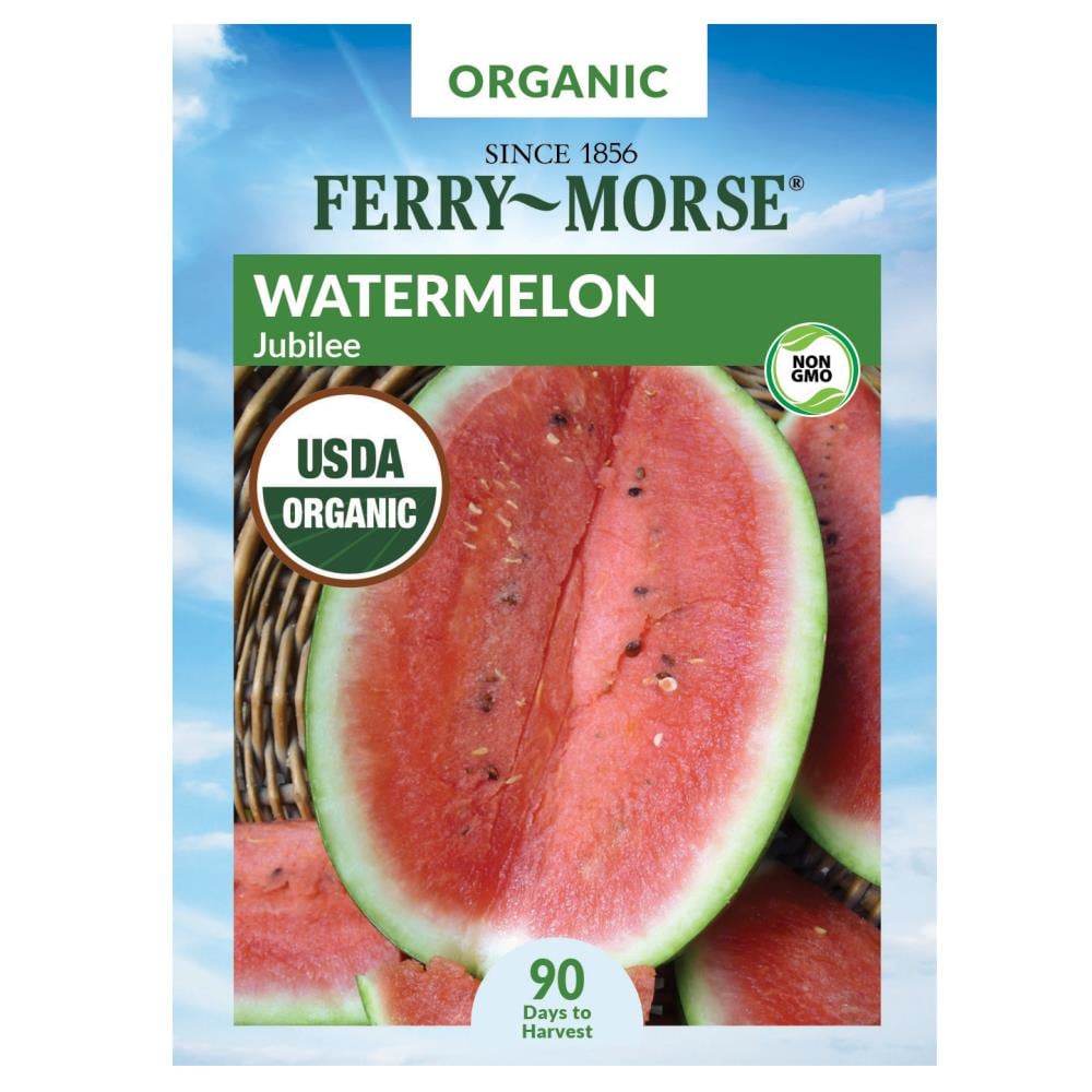 100 Seeds Jubilee Watermelon Seeds Non-GMO Heirloom