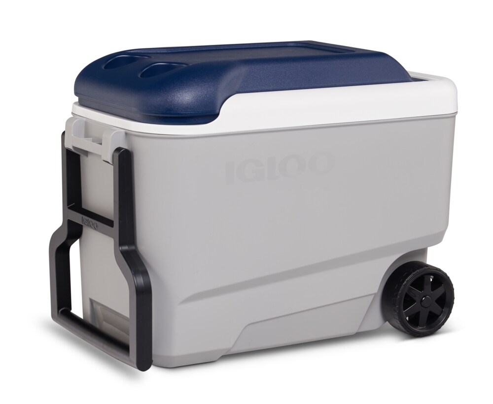 Unique Igloo Ice Cube Maxcold Roller 70 Quart 5 Day Cooler Outdoor BBQ Blue New 