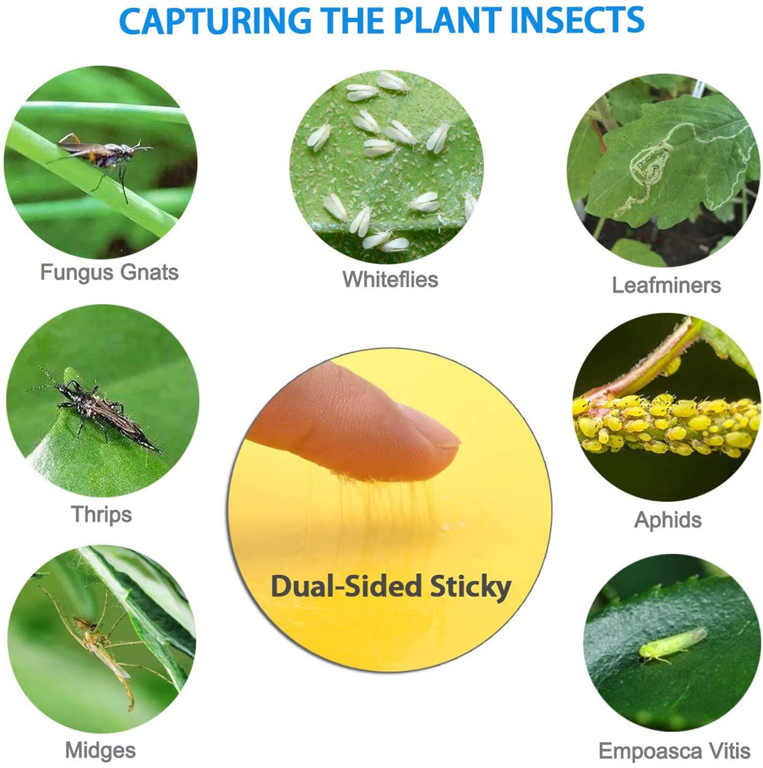 Sticky Trap 40pcs Fungus Gnat Sticky Bug Trap for Indoor/Outdoor Plants Flies Double-Sided Yellow Fruit Fly Trap Fungus Trap Mosquitoes Flying Insect Trap/Disposable Viscose Trap 