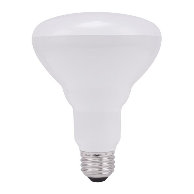 6-Pack 610  lumens General Electric GE 20331-6-6 65 Watt Soft White Floodlight BR30 Light Bulb 