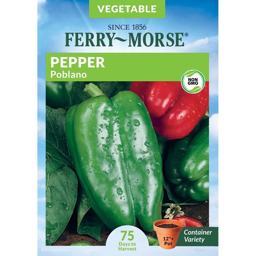 Pepper Spanish Spice    250 seeds  Need More Ask 