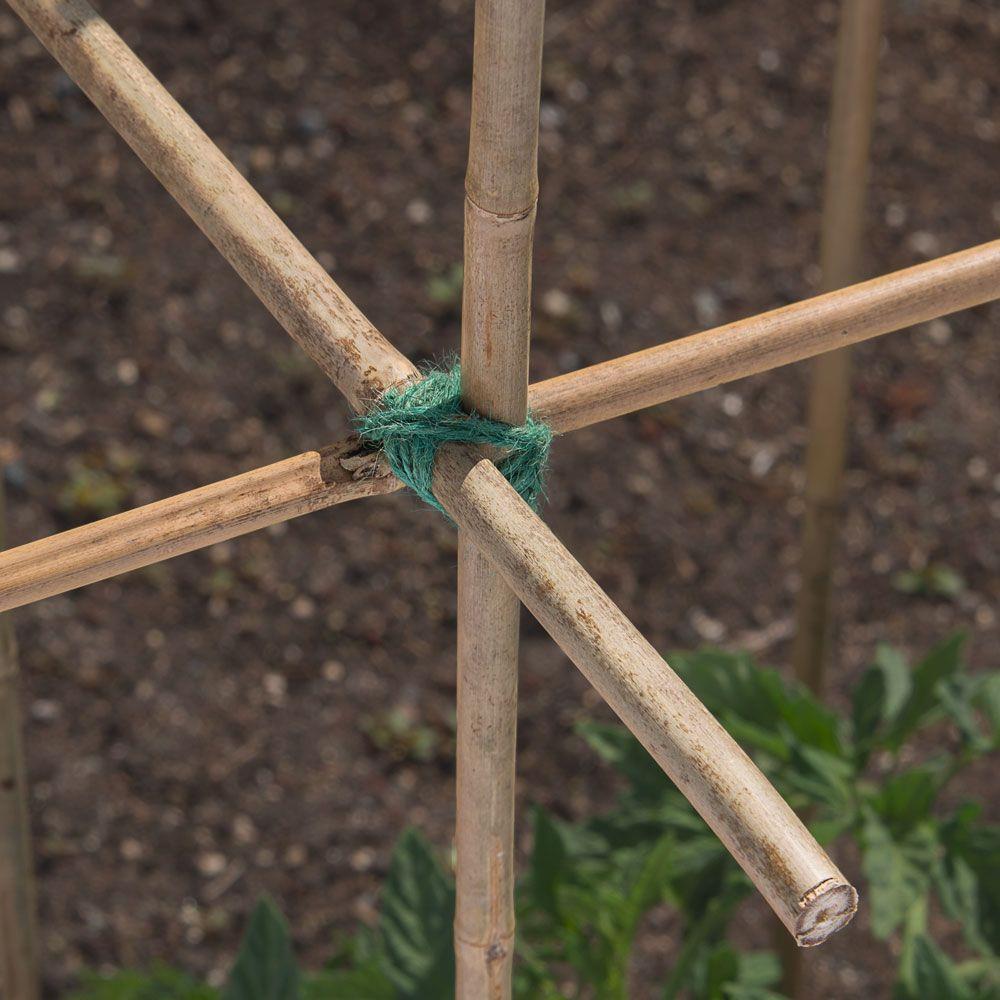 W Bond Manufacturing  Green  Bamboo  Garden Stakes  2 ft L x 1-3/4 in 