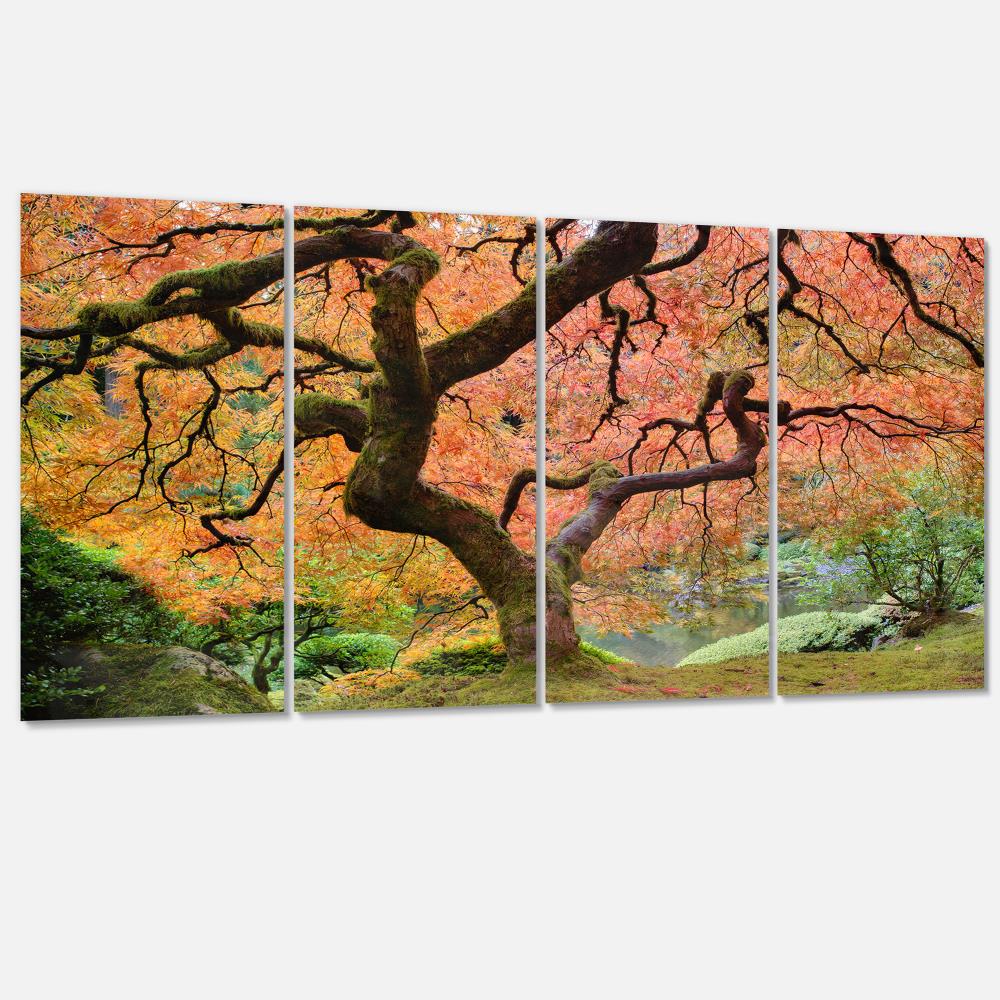 Fall/Janese Maple Tree mounted picture/on fiberboard canvas/betterThan stretched 