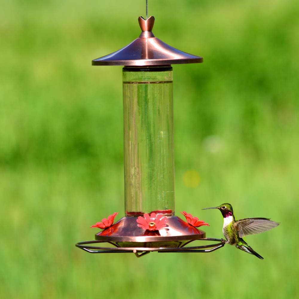 Perky-Pet Elegant Copper Glass Nectar Hummingbird Feeder In The Bird ...