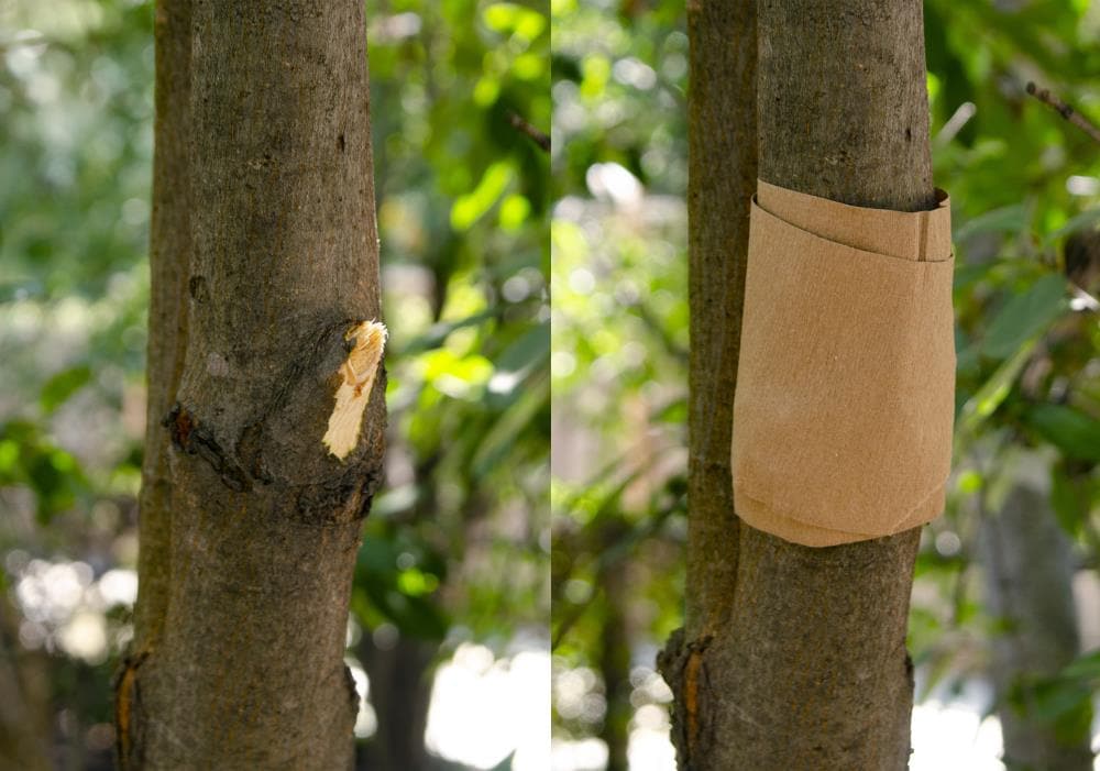 bandages 20M pour la protection des plantes Tissu de recouvrement de tronc darbre pour une conservation et une hydratation au chaud pour lhiver, double couche + film Protège-arbres Wrap