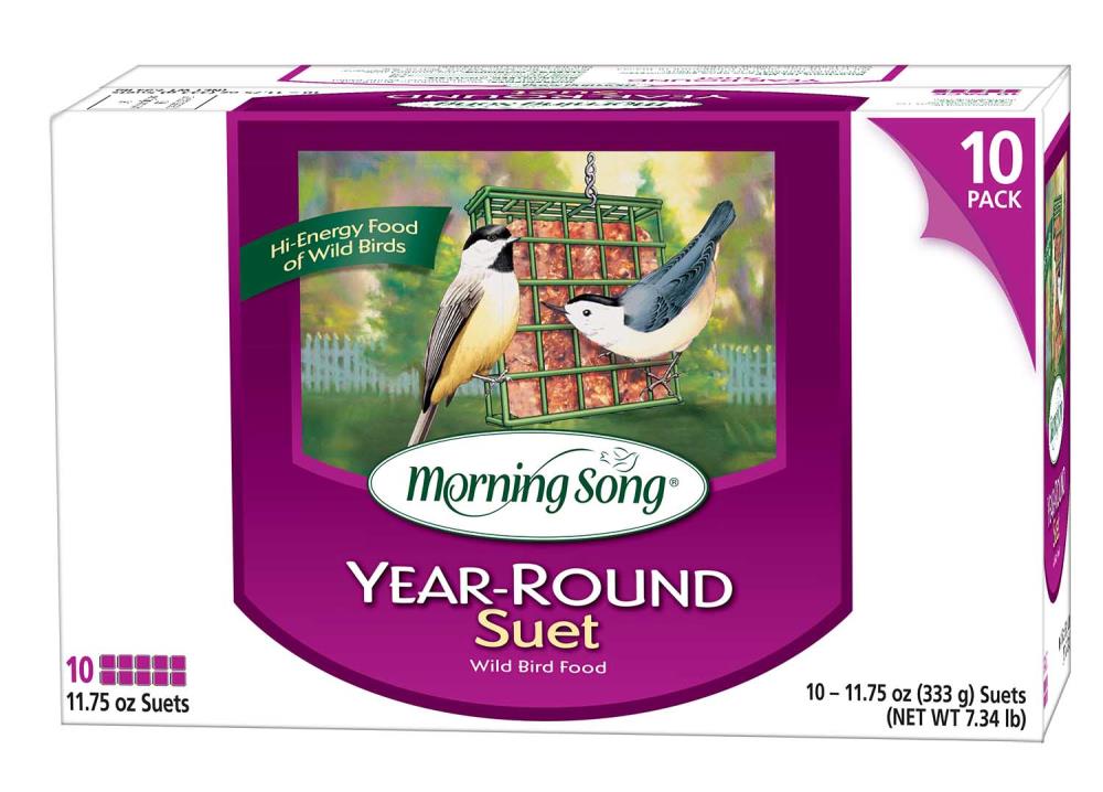 morning song year round suet