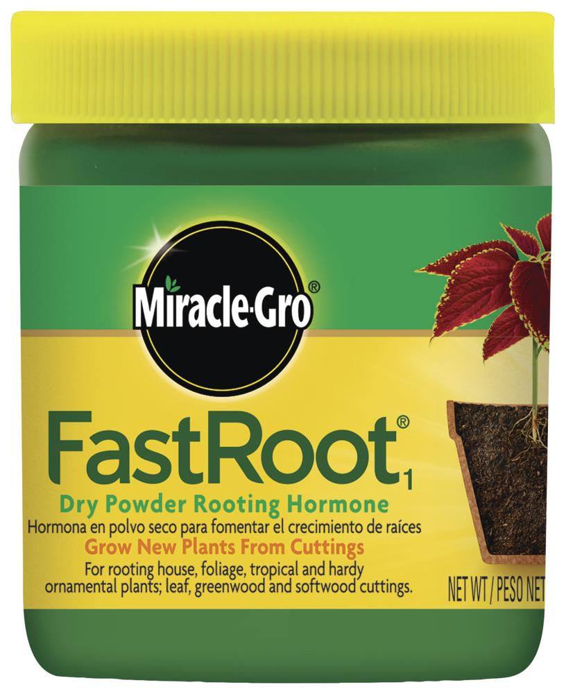 10X Fast Rooting Powder Hormone Growing Root Seedling N1Z7 Cut Germination P7W7 