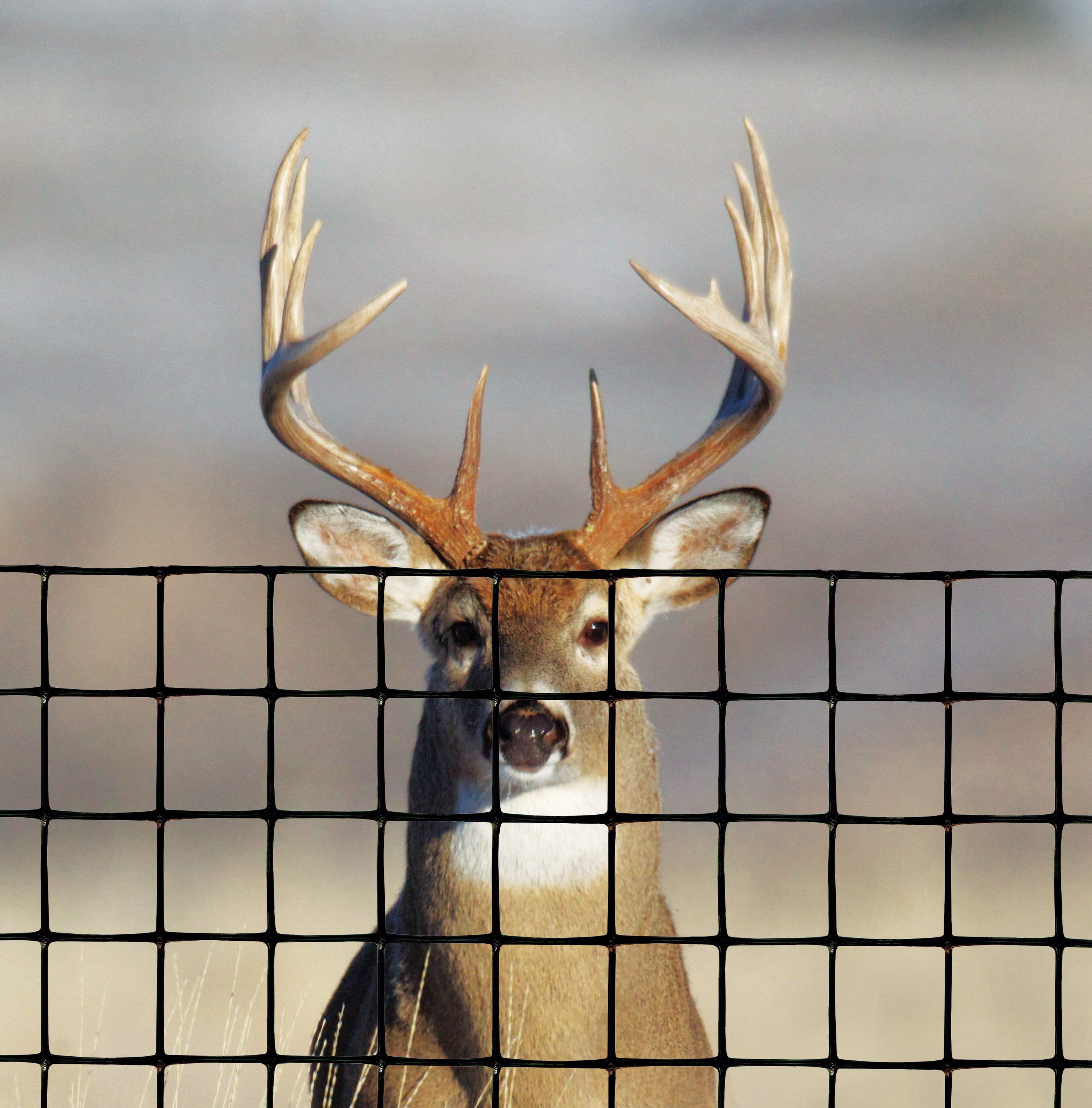 Deer Fencing 7.5' x 165' Professional Tenax C-flex high 7.5 ft fence netting 