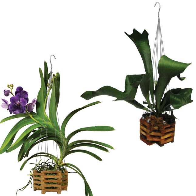 Plastic Quantity of 4 10 Inch Octagon Orchid Basket 