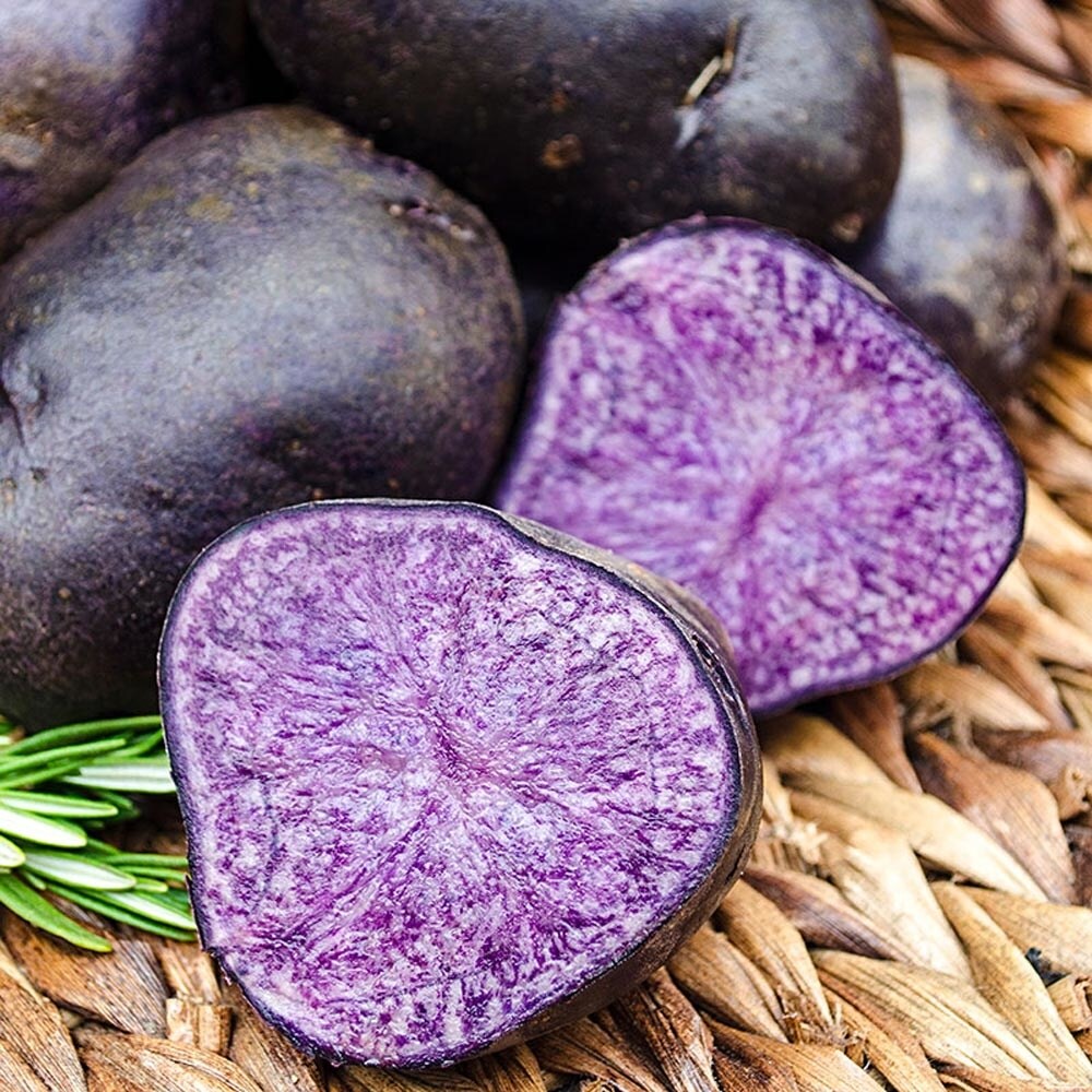 200 Pcs Purple Potato Seeds Delicious Delicious Nutrition Green Vegetable Seeds 