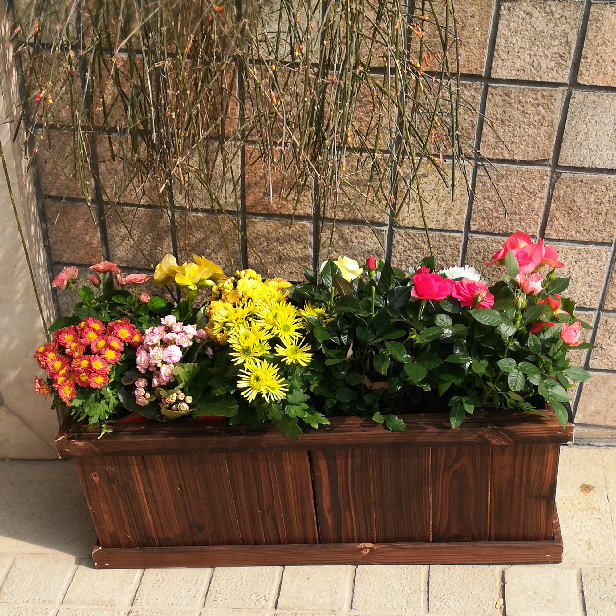 Willow Balcony Window Rail Planter Box 55 cm Flower Pot with rail hangers Brown 