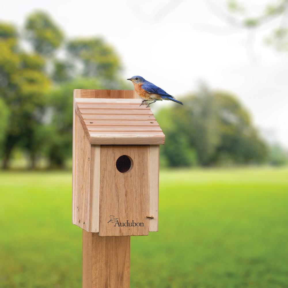 National Audubon Society National Audubon DIY Bluebird House Kit with