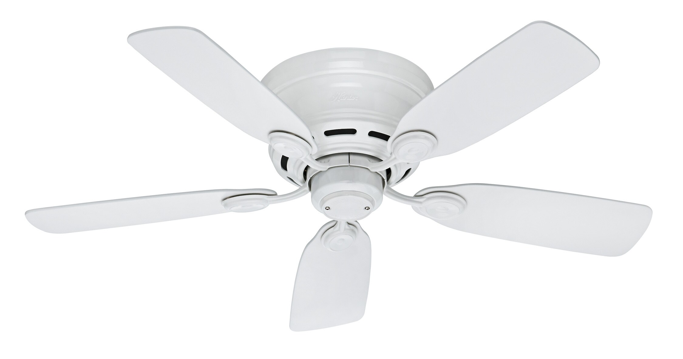 Low Profile Ceiling Fan in Fresh White with Light Kit Hunter Fan 42 in 