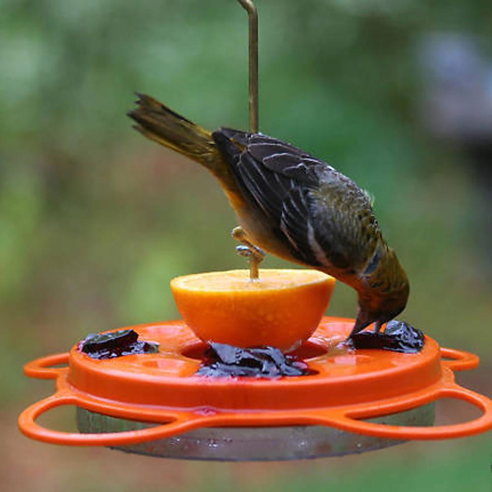 Hummingbird & Oriole Nectar Birds Choice NP1003CASE 