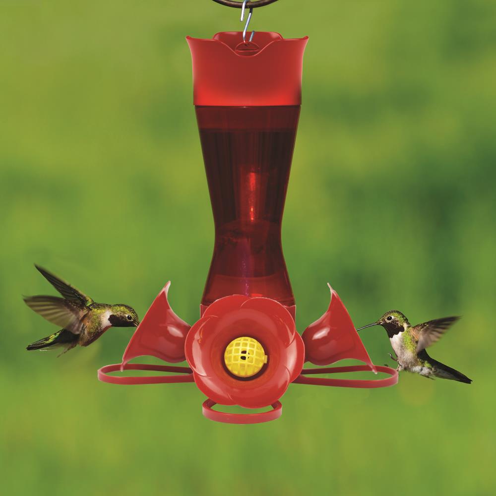 Bird Supplies Capacity 8 oz Clear Pinch Waist Glass Hummingbird Feeder Pet 