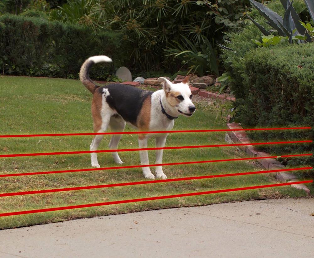 High Tech Pet High Tech Pet Basic Electronic Fence And Containment System For Dogs 0 4 Acre Static Underground Pet Fence In The Underground Pet Fences Department At Lowes Com