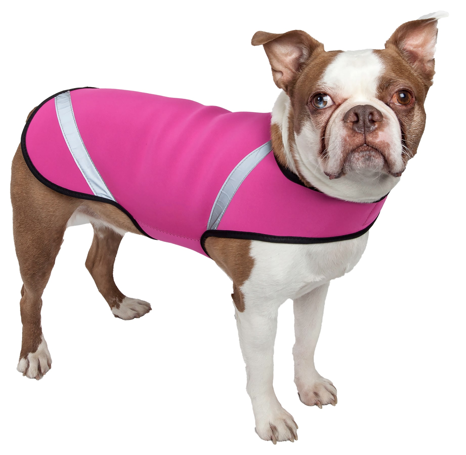 small pink dog coat