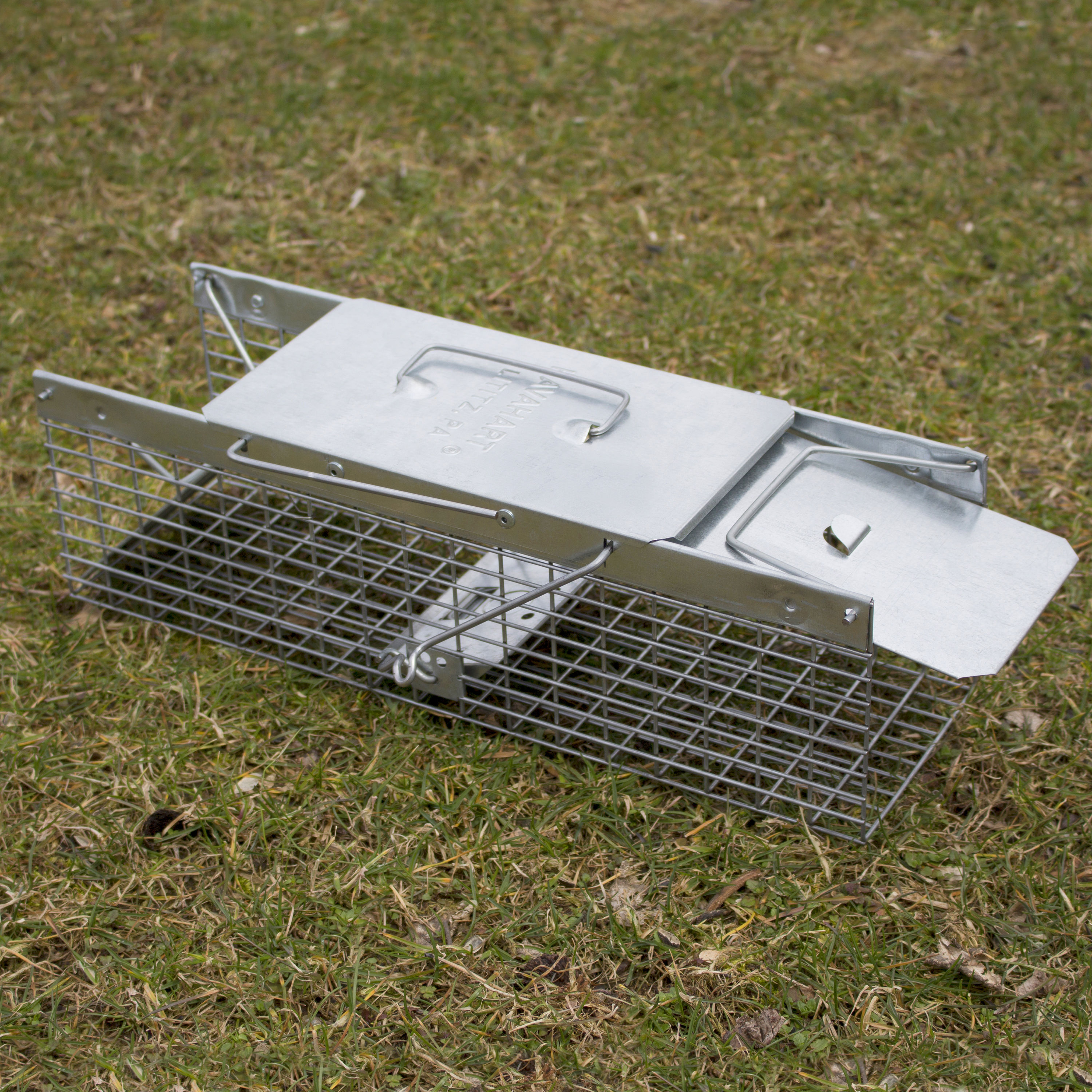 Havahart 1025 Live Animal Two-Door Squirrel Chipmunk Rat and Weasel Cage Trap 
