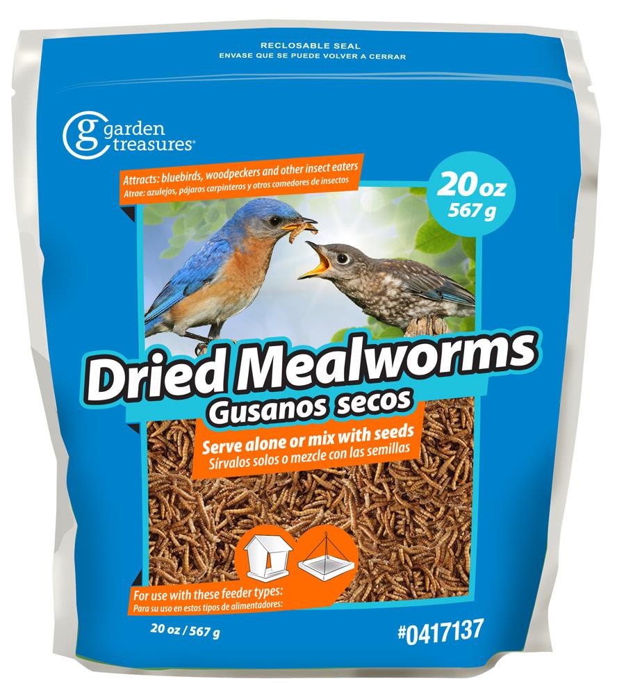 bird food worms