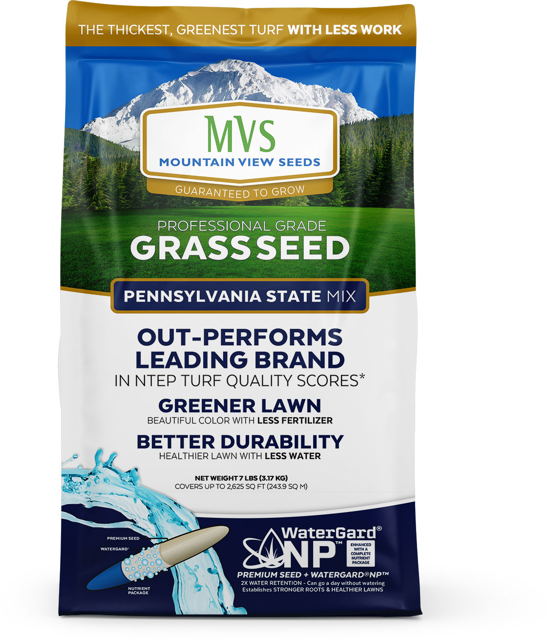 Is Scotts Grass Seed Safe For Dogs